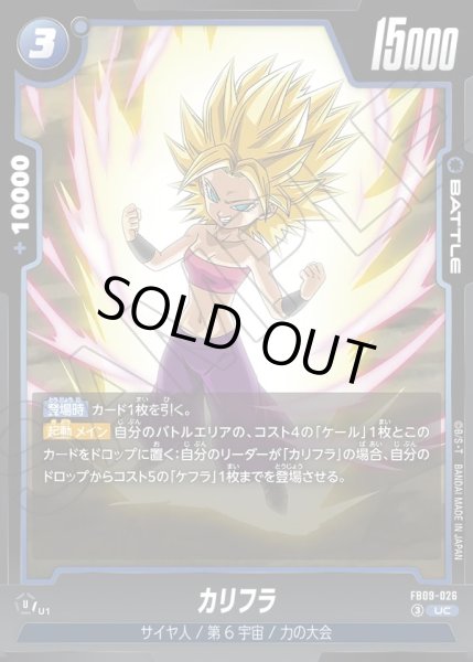 画像1: カリフラ[DBF_FB09-026_UC] (1)