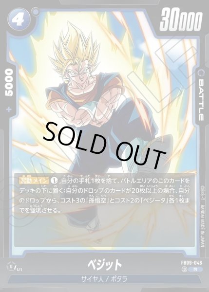 画像1: ベジット[DBF_FB09-046_R] (1)