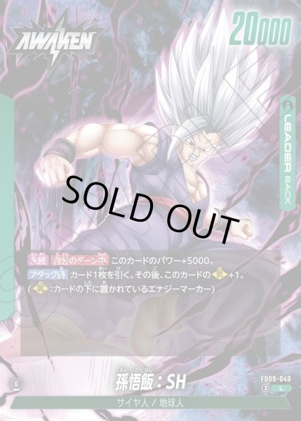 画像2: 孫悟飯：SH[DBF_FB09-049_L] (2)