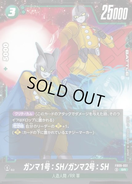 画像1: ガンマ1号：SH/ガンマ2号：SH[DBF_FB09-051_SR] (1)