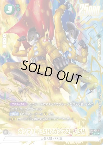 画像1: 【パラレル仕様】ガンマ1号：SH/ガンマ2号：SH[DBF_FB09-051_SR] (1)