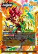 画像2: シャロット/ジブレット[DBF_FB11-073_L] (2)