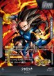 画像1: シャロット[DBF_FS09-001_L] (1)