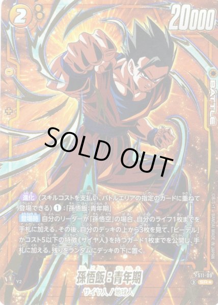 画像1: 【パラレル仕様】孫悟飯：青年期[DBF_FS11-09 _SR] (1)