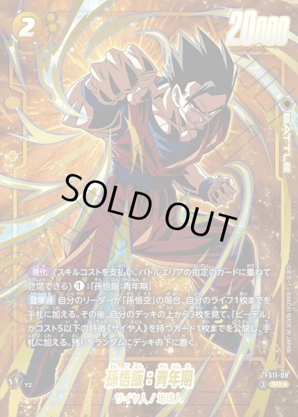 画像1: 【パラレル仕様】孫悟飯：青年期[DBF_FS11-09 _SR] (1)