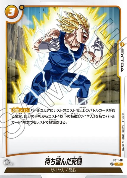 画像1: 待ち望んだ死闘[DBF_FS11-18 _C] (1)