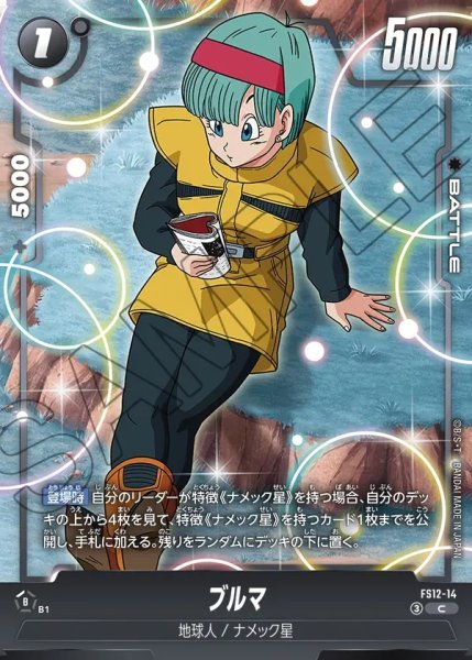 画像1: ブルマ[DBF_FS12-14 _C] (1)