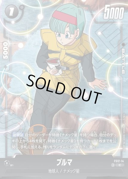 画像1: ブルマ[DBF_FS12-14 _C] (1)