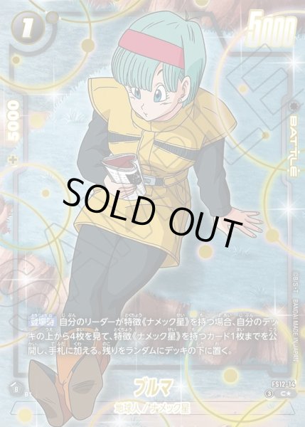 画像1: 【パラレル仕様】ブルマ[DBF_FS12-14 _C] (1)