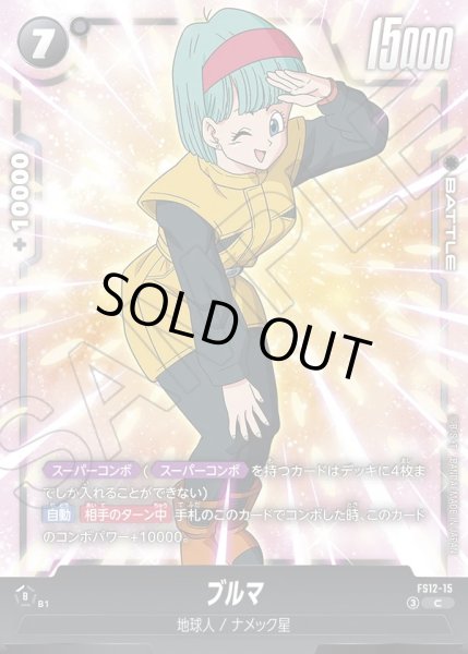 画像1: ブルマ[DBF_FS12-15 _C] (1)