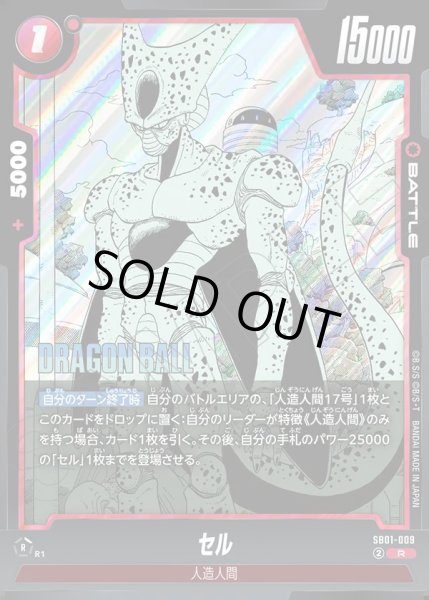 画像1: セル[DBF_SB01-009_R] (1)