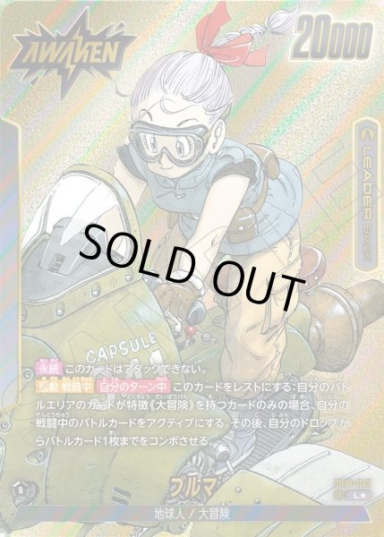 画像1: 【パラレル仕様】ブルマ/ブルマ[DBF_SB01-045_L] (1)