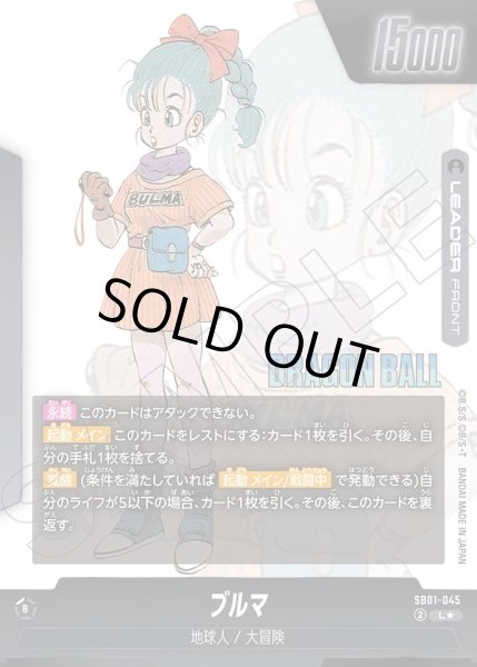 画像2: 【パラレル仕様】ブルマ/ブルマ[DBF_SB01-045_L] (2)