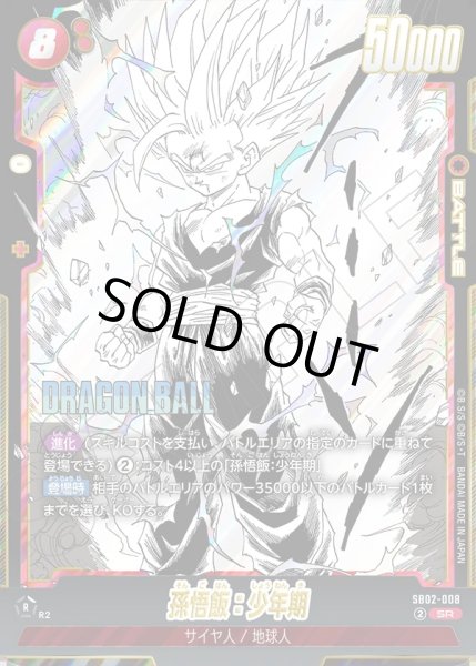 画像1: 孫悟飯:少年期[DBF_SB02-008_SR] (1)