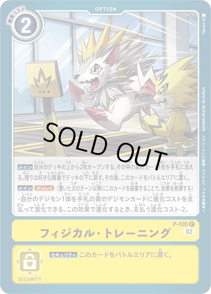 画像1: 【再録】フィジカル・トレーニング[DC_P-105_P]【AD-01収録】 (1)