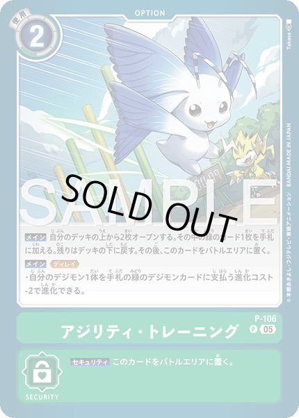 画像1: 【再録】アジリティ・トレーニング[DC_P-106_P]【AD-01収録】 (1)