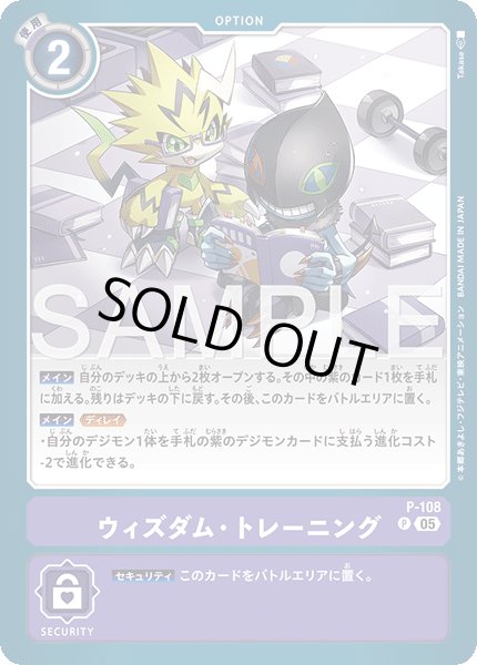 画像1: 【再録】ウィズダム・トレーニング[DC_P-108_P]【AD-01収録】 (1)