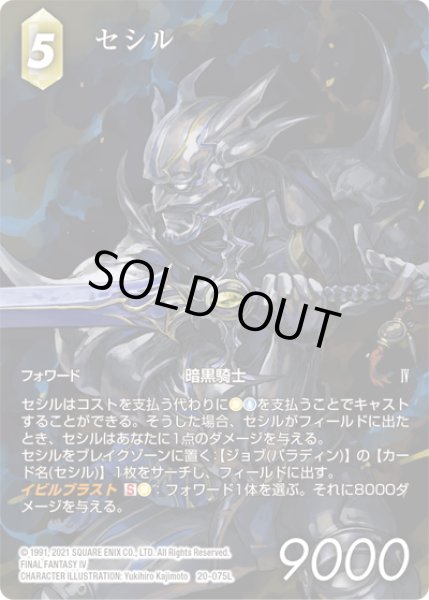 画像1: 【フレームレスプレミアム】セシル[FF_20-075L] (1)