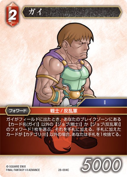 画像1: ガイ[FF_28-004_C] (1)