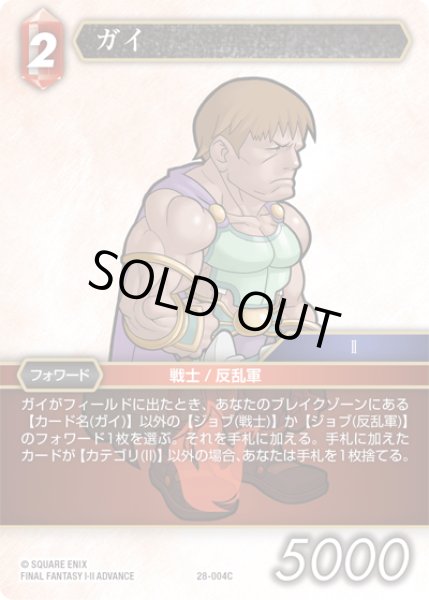 画像1: ガイ[FF_28-004_C] (1)