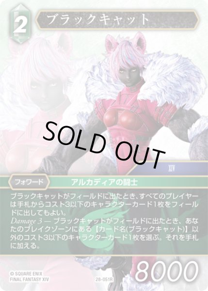 画像1: ブラックキャット[FF_28-051_R] (1)