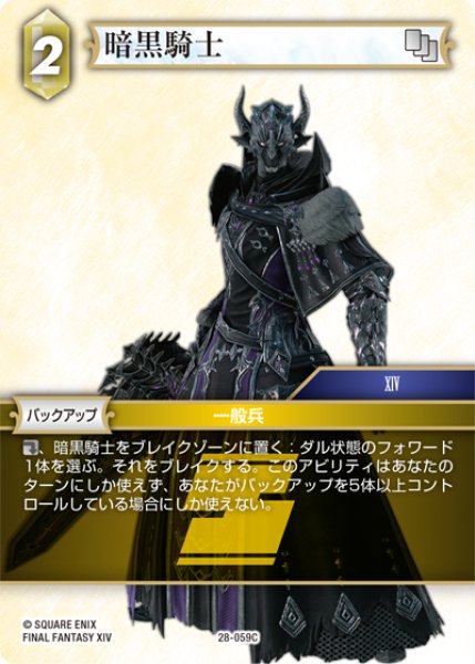 画像1: 暗黒騎士[FF_28-059_C] (1)