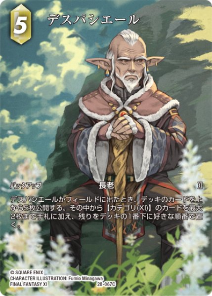 画像1: 【フレームレスプレミアム】デスパシエール[FF_28-067_C] (1)