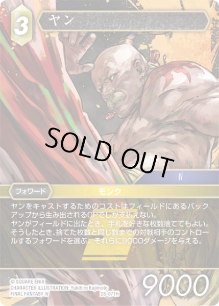 画像1: ヤン[FF_28-071_H] (1)