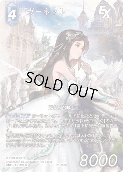 画像1: 【フレームレスプレミアム】ガーネット[FF_28-098_H] (1)