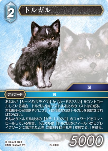 画像1: トルガル[FF_29-035_H] (1)