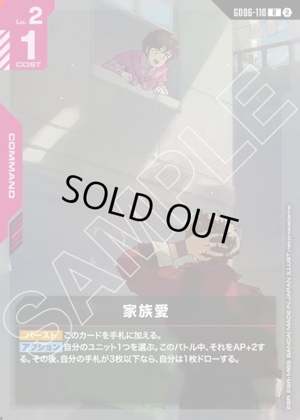 画像1: 家族愛[GCG_GD06-110_R(2)] (1)
