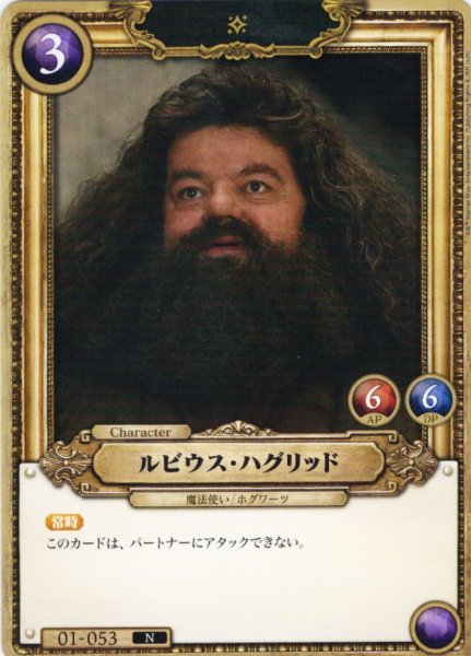 画像1: ルビウス・ハグリッド[HP_BT01_053_N] (1)