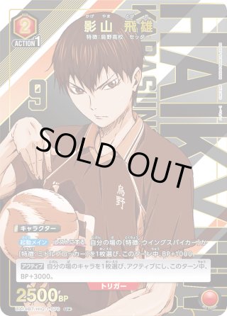 ユニオンアリーナ ハイキュー‼︎ 影山飛雄 聞き入 パラレル
