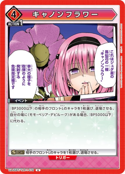 画像1: キャノンフラワー[UA_UA45BT/TLR-1-078_U] (1)